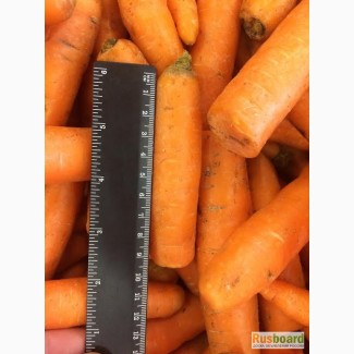 Продаем лом мытой моркови
