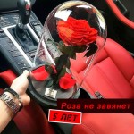 Вечная роза в колбе Хабаровск