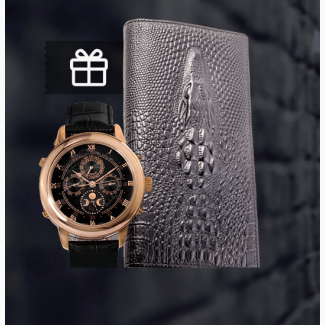 Стильные мужские часы + мужское портмоне Alligator