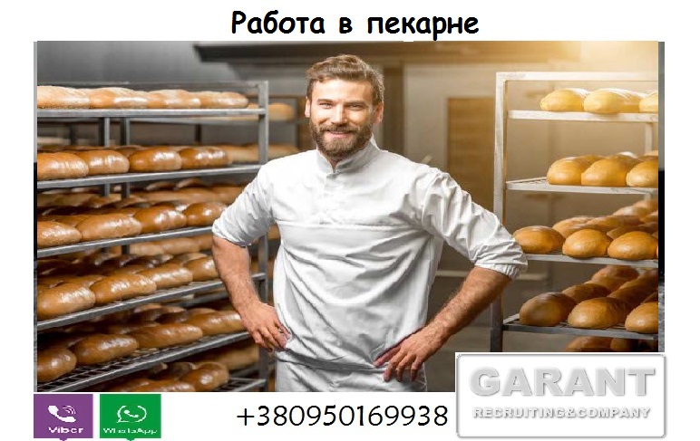 Вакансии москва гражданам снг. Работа для СНГ. Работа гражданам СНГ. Хочу работать в пекарню. Работа мужчина СНГ.