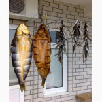Рыба азовского моря, бычек, пеленгас