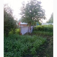 Продам добротный уютный коттедж в Ново-Александровке (Баланово) в Уфе