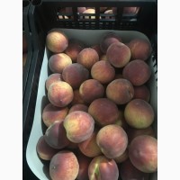 Персики оптом на прямую от производителя