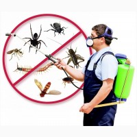 Товары для борьбы с насекомыми и грызунами