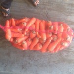 Морковь салатная Шардоне роял