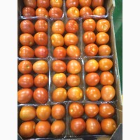 Продаем томат