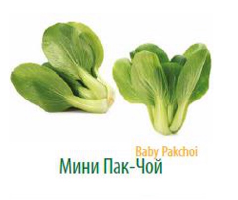 Мини :овощи и зелень напрямую с плантаций и теплиц Турции