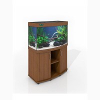 ZelAqua магазин аквариумов и террариумов в Москве