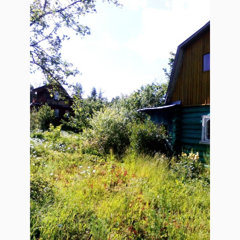 Фото 2. Продам участок с домом рядом с новым МКР Лесной в Дёме, СНТ Отдых