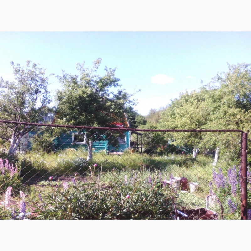 Фото 4. Продам участок с домом рядом с новым МКР Лесной в Дёме, СНТ Отдых