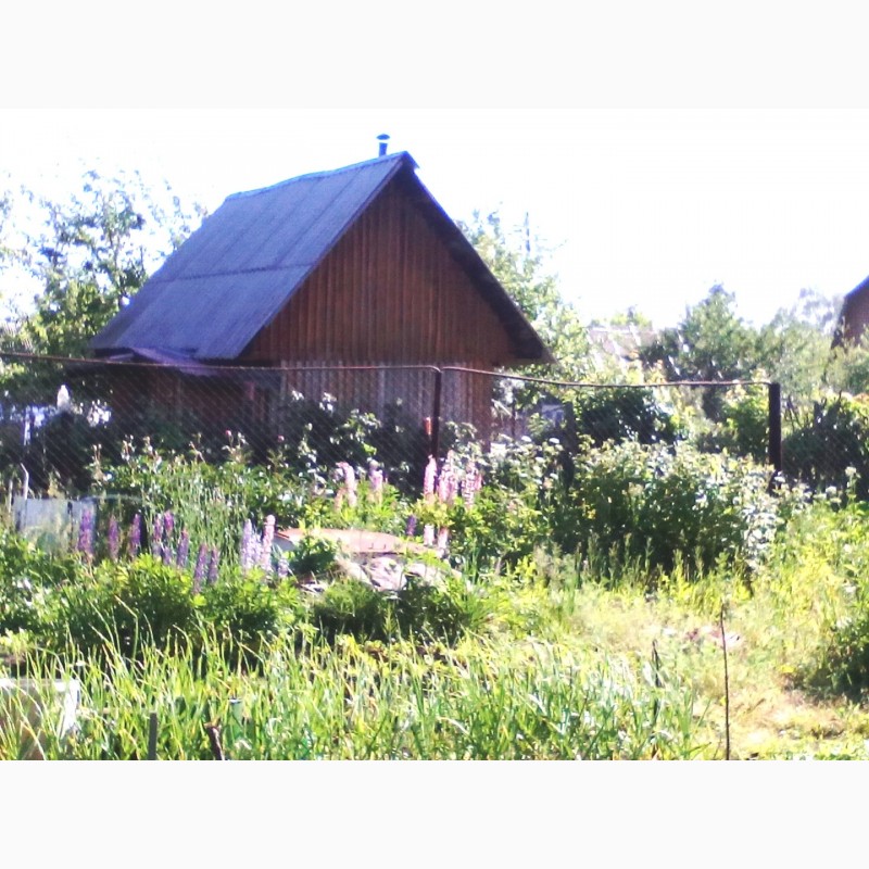 Фото 5. Продам участок с домом рядом с новым МКР Лесной в Дёме, СНТ Отдых