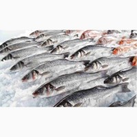 ООО «ИСТА» Торговля оптовая рыбой, ракообразными и моллюсками