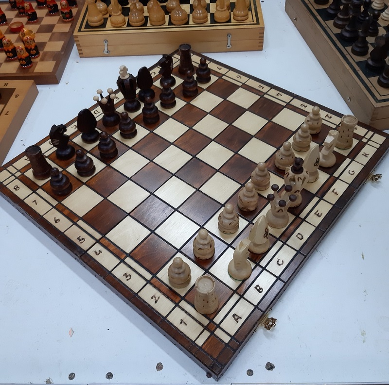 Фото 3. Домашний учитель по шахматам