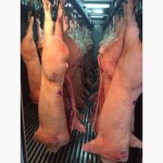 Мясо свинина полутуши 1 категории оптом
