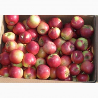 Яблоки с доставкой по РФ, большой выбор, низкие цены