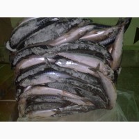 Свежемороженая рыба оптом от производителя из Мурманска