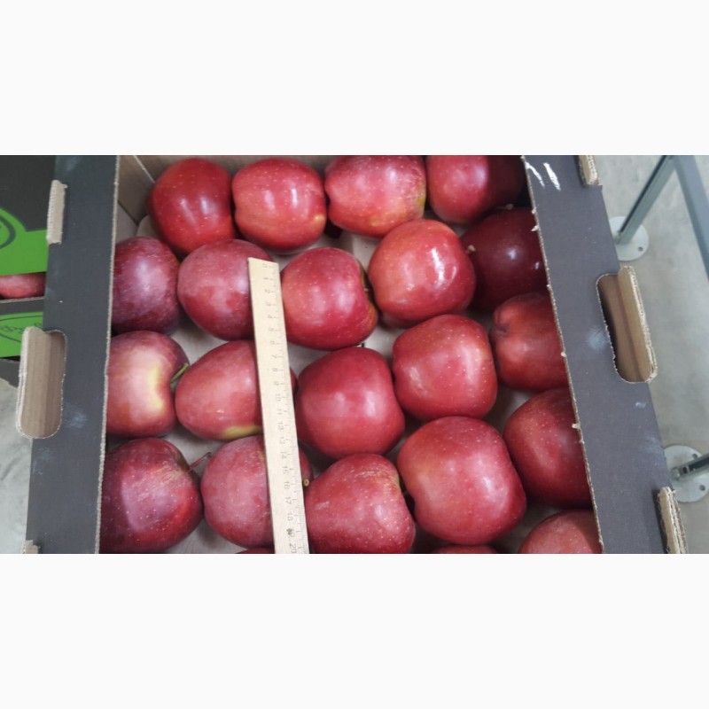 Фото 2. Яблоки разных сортов. Производитель