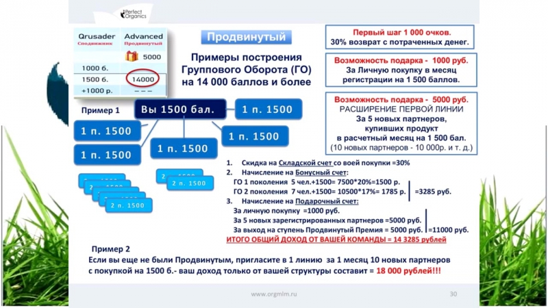 Маркетинг план перфект органикс картинка