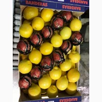 Продаем лимоны