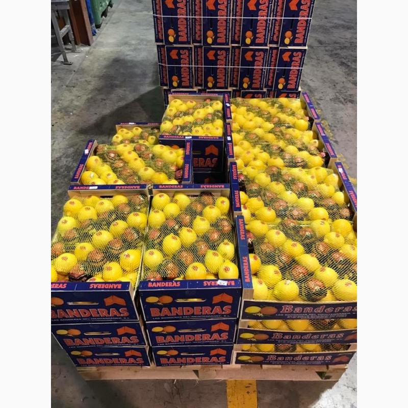 Фото 5. Продаем лимоны