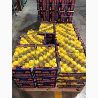 Продаем лимоны