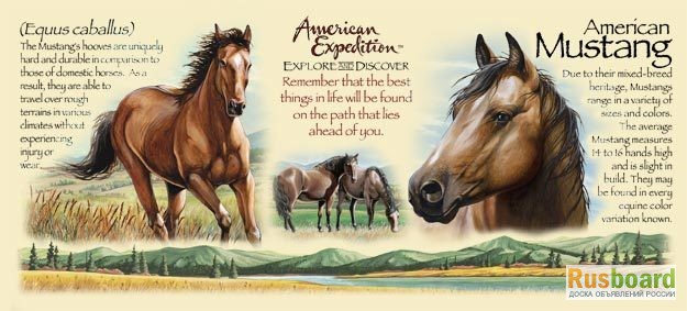 Фото 5. Кружка керамическая American Mustang (American Expedition)