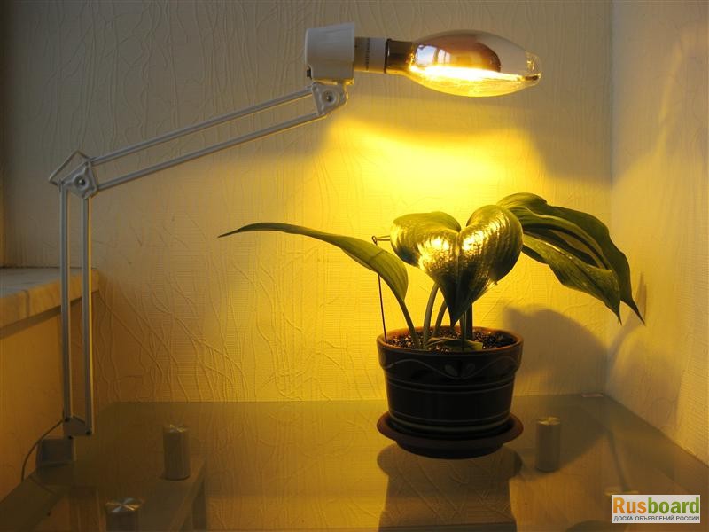 Фото 2. Тепличные светильники, облучатели ЖСП 30, ЖСП55, и др с эпра и эмпра