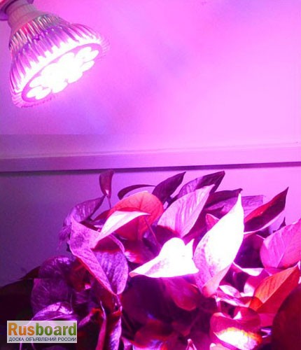Фото 3. Тепличные светильники, облучатели ЖСП 30, ЖСП55, и др с эпра и эмпра