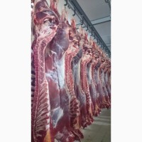 Продаем мясо говядины оптом