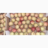 Яблоки Фуджи, сорт 1, калибр 70-75 от 10 тонн в картонном лотке 60х40, вес 13-15кг мытые