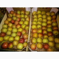 Яблоки Фуджи, сорт 2, калибр 70-75+ от 10 тонн в картонном лотке 60х40, вес 13-15кг мытые