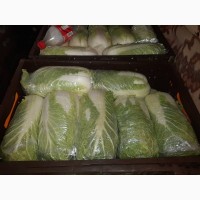 Продам овощи от Киргизского производителя