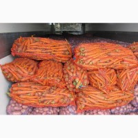 Морковь оптом от производителя от 20 тонн