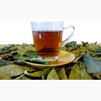 Короссоль. Лечебный чай из Западной Африки