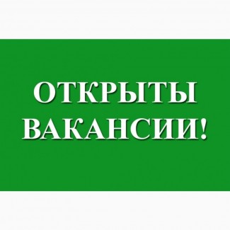 Вакансии удалённоя работа