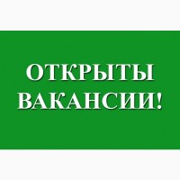 Вакансии удалённоя работа