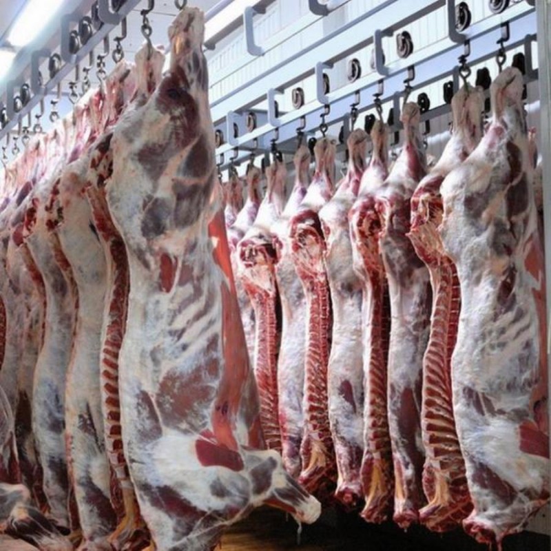 Фото 2. Производство и оптовые продажи мяса в ассортименте
