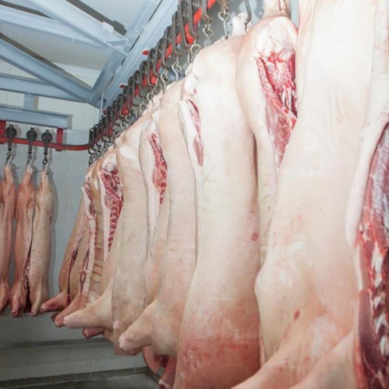 Фото 3. Производство и оптовые продажи мяса в ассортименте