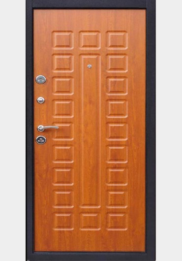 Фото 2. Входные металлические двери в квартиру