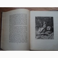 Книга Н.В. Гоголь, Вечера на хуторе близ Диканьки, Гослитиздат, 1952год, Москва - Ленингр