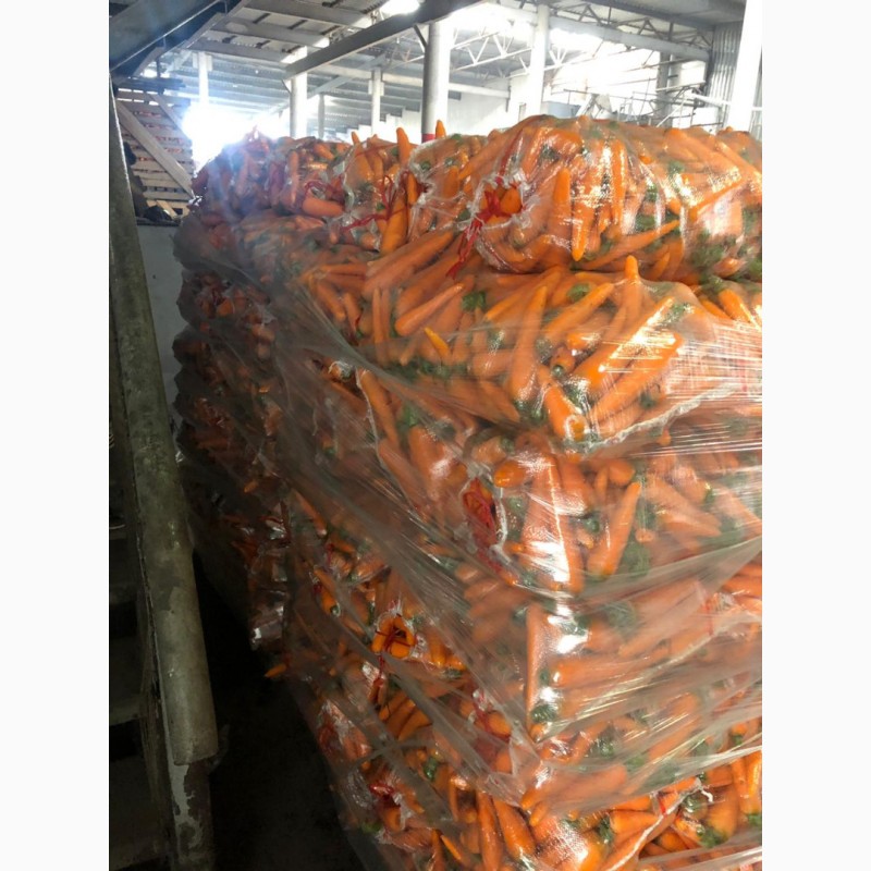 Фото 3. Продам Морковь мытая, 15-25 см, пакет 18 кг, Россия