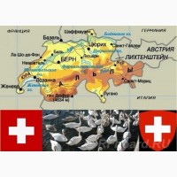 Швейцария.все включено