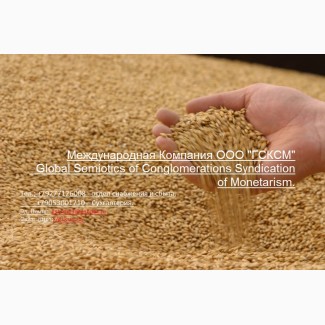 Оптовая продажа Пшеница 3 класса мягких сортов с клейковиной от 26% до 28%