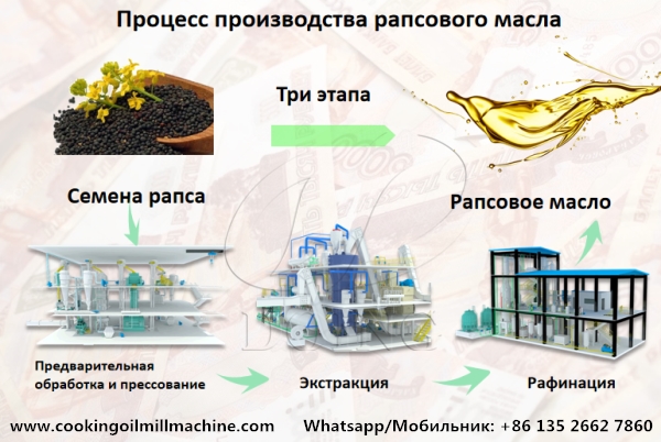 Комплектное оборудование для производства рапсового масла с высокой эффективностью
