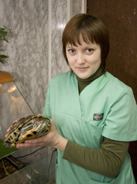 Фото 2. Лечение рептилий в Москве