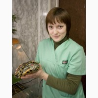 Лечение рептилий в Москве
