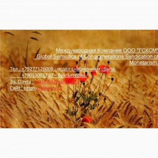 Оптовая продажа пшеницы 4 класса клейковиной 20 - 22%