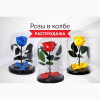 Розы в колбе - Распродажа