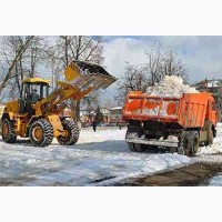 Демонтаж, земляные работы, вывоз мусора в Санкт-Петербурге