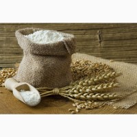 Закупаем муку пшеничную х/п ГОСТ, М55-23, М75-23 О/Н от 1200 тн.каждый месяц